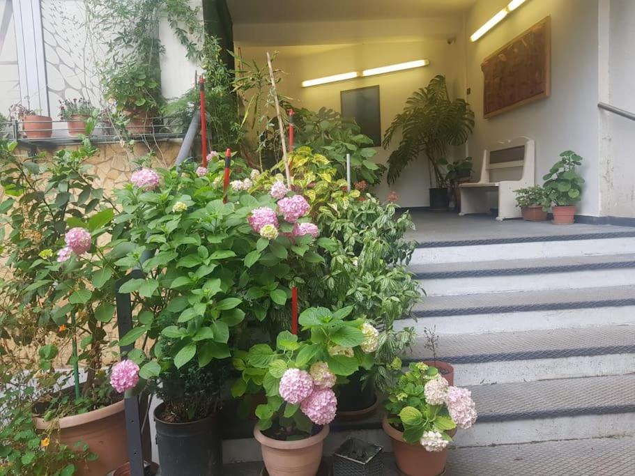 Pazari_Ri_Studio Διαμέρισμα Τίρανα Εξωτερικό φωτογραφία