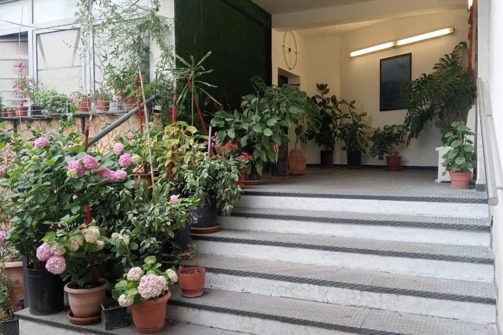 Pazari_Ri_Studio Διαμέρισμα Τίρανα Εξωτερικό φωτογραφία